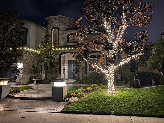 Bright White Christmas Lights Roof and Tree